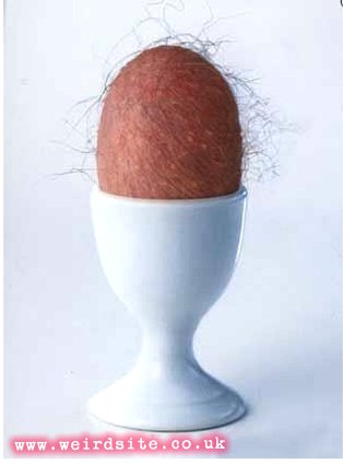 [Image: egg]