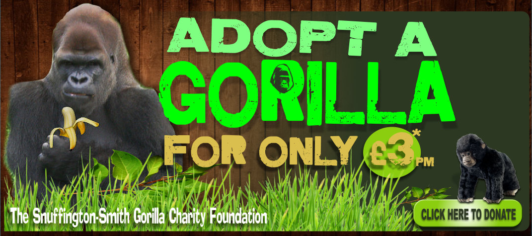 adopt a gorilla