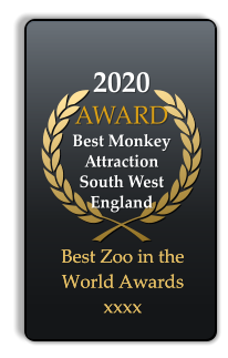 2020 AWARD  Best Monkey Attraction South West England  Best Zoo in the World Awards xxxx Best Zoo in the World Awards xxxx