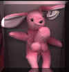 sonk-bunny.jpg (30436 bytes)